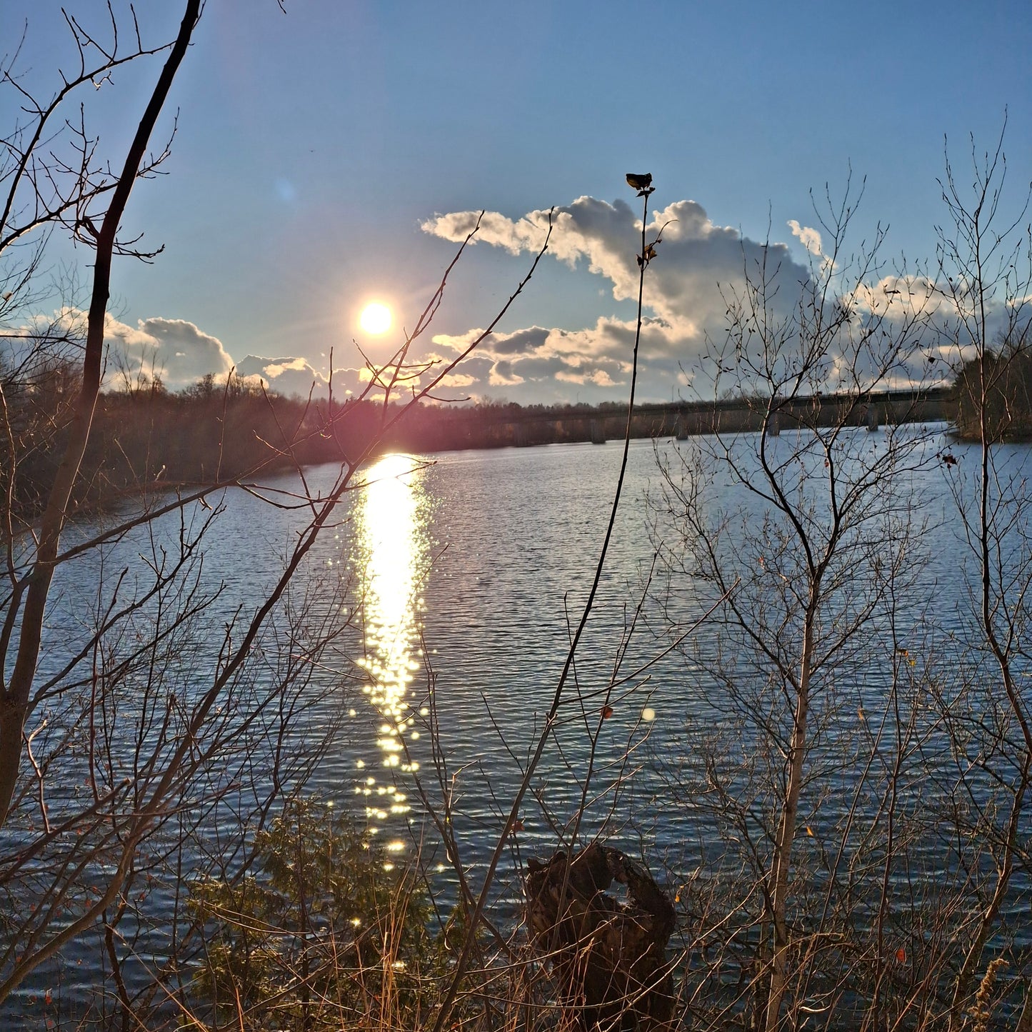 2025-11-22 15:21 (Vue 2.3)