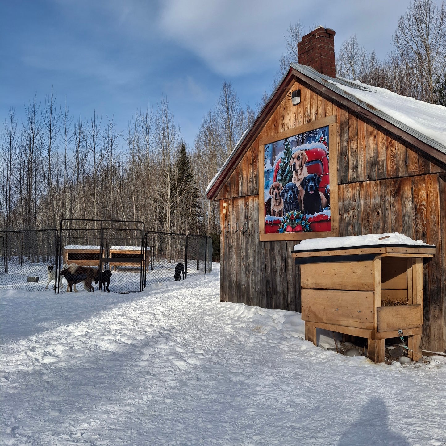 Le refuge des chiens Volant
