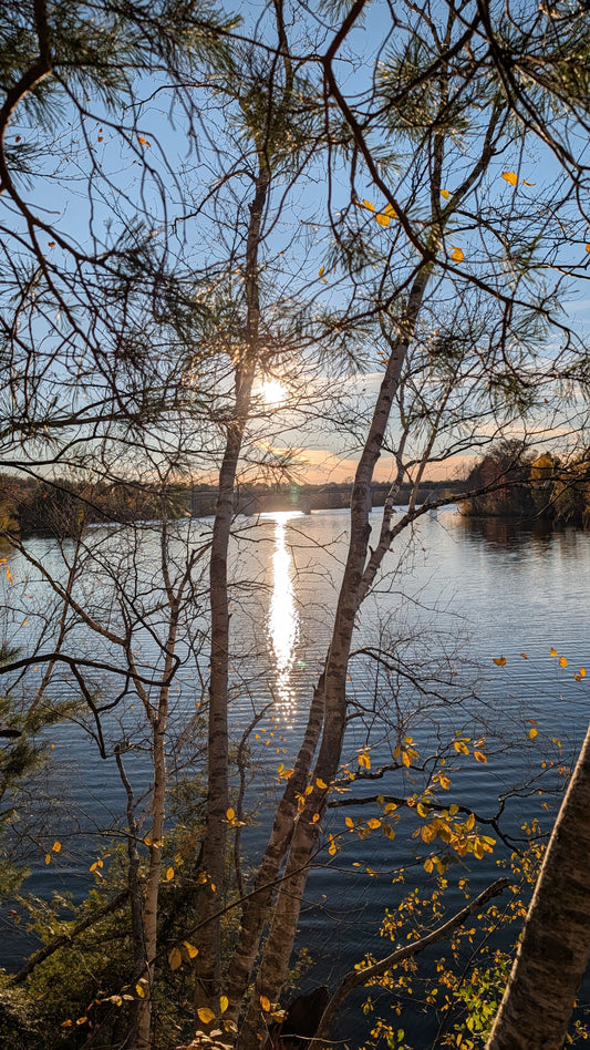 2026-10-23 16:53 (Vue 2.3)