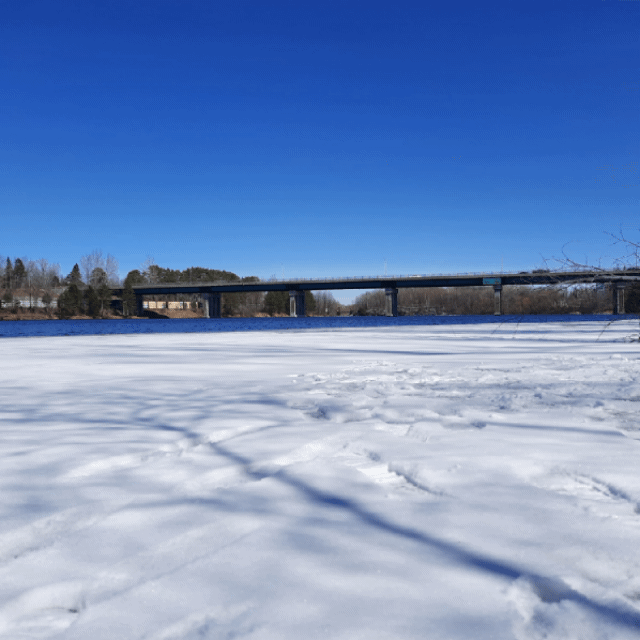 2022-04-02 (Vue Monsieur) (Animation)