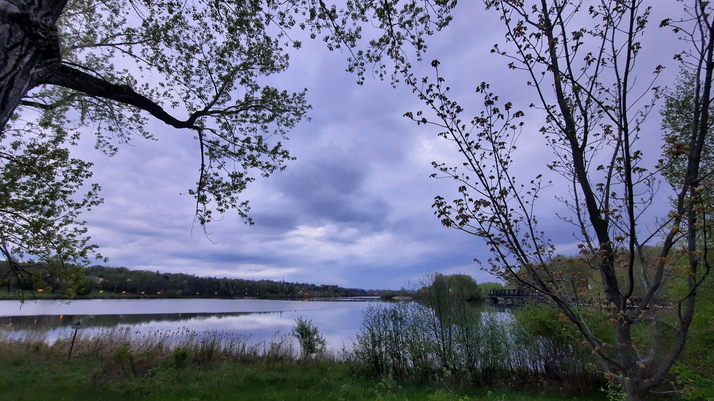 Lac Des Nations Du 18 Mai 2021 (Vue Banc 3)