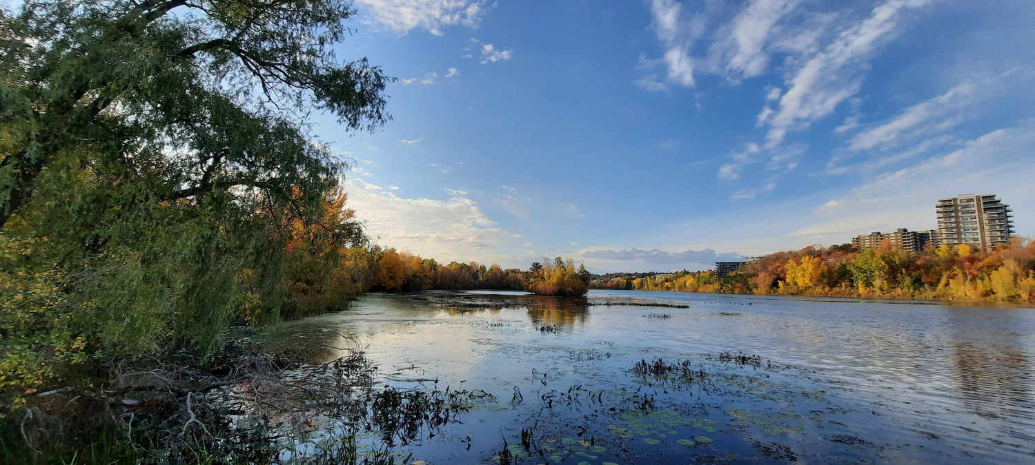 13 Octobre 2021 17H00 (Vue T2) Ciel Bleu Et Nuages Blancs