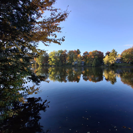 2024-09-30 (Vue BP12)