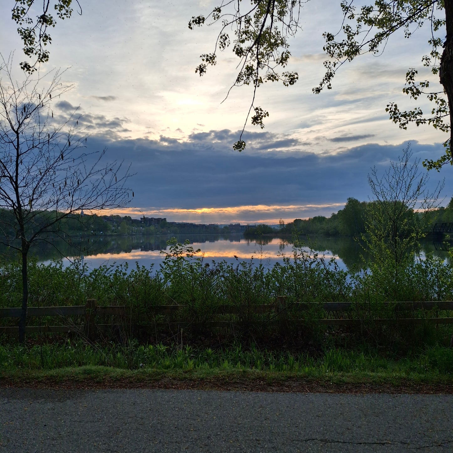 2025-05-16 05:58 (Vue BP2)