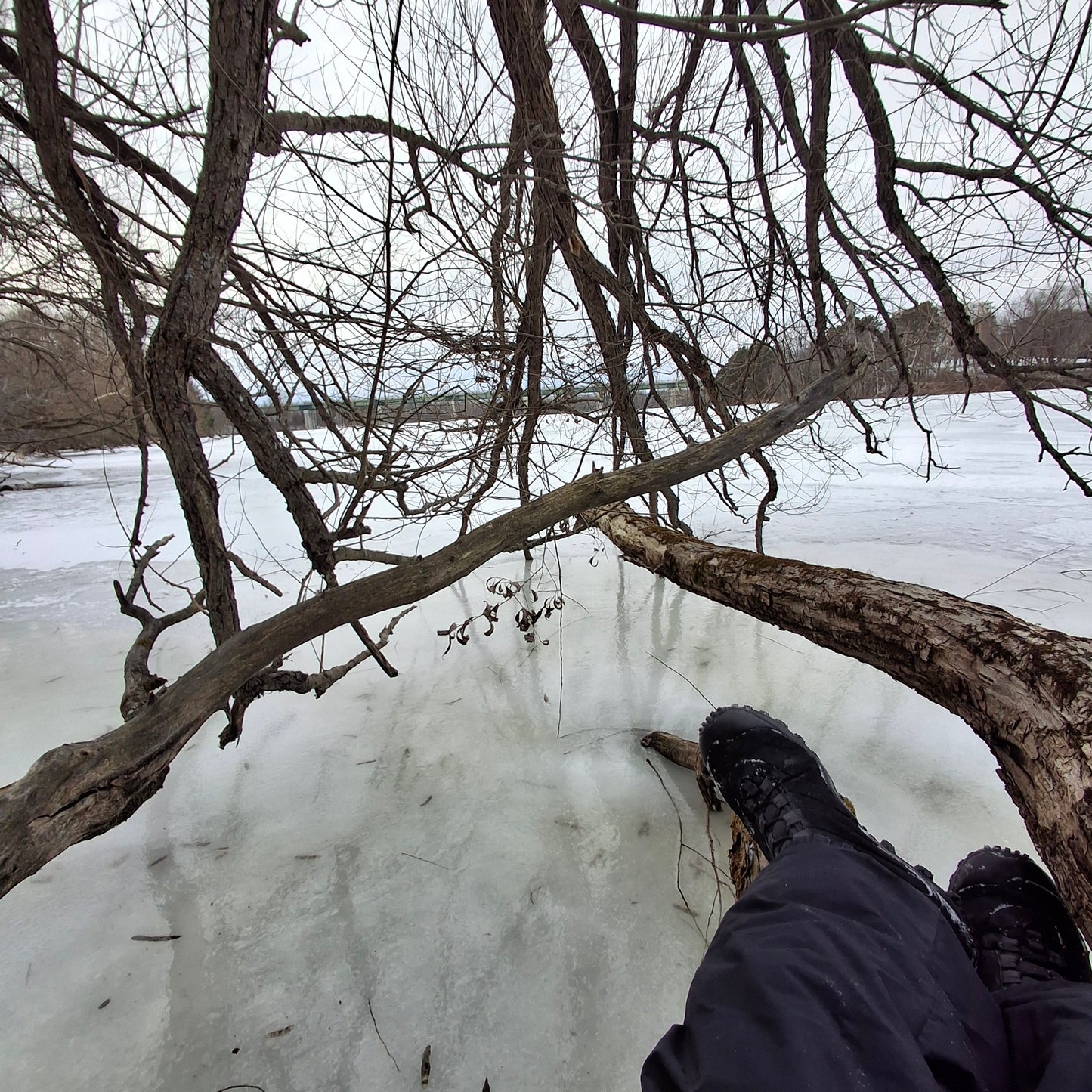 2025-12-20 13:41 (Vue C1)