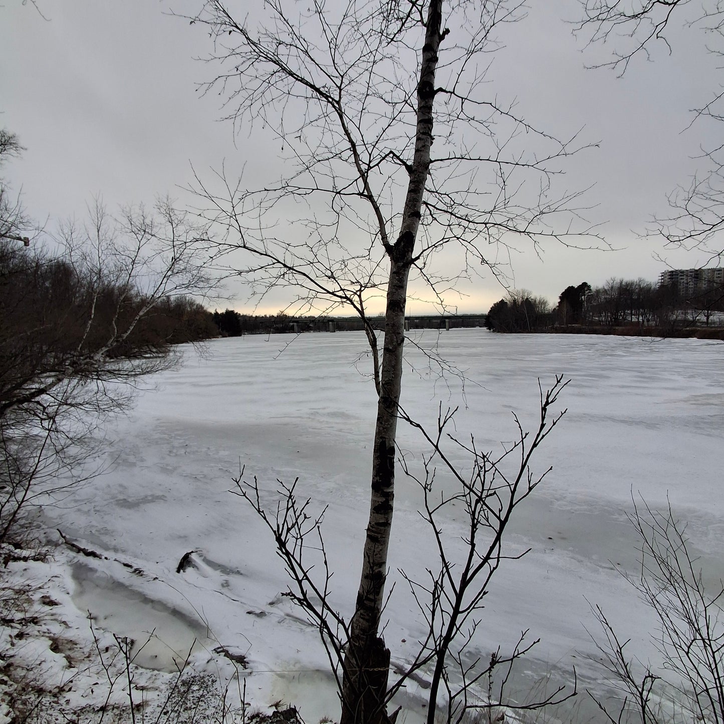 2025-12-20 (Vue 2.1)