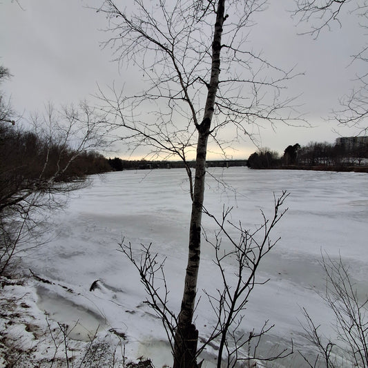 2025-12-20 (Vue 2.1)