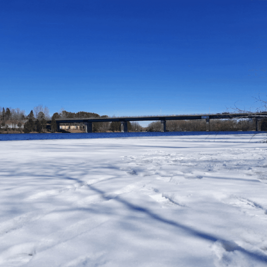 2022-04-02 (Vue Monsieur) (Animation)