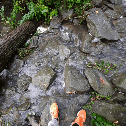 2022-09-22 La crue (Vue Grenouille) Trouve les souliers (Animation)